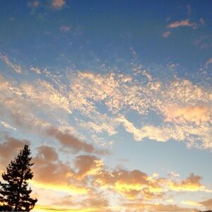 W E L C O M E ♥️